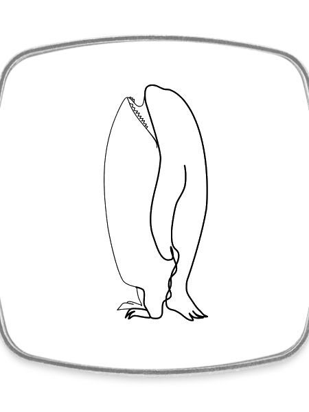 Orca penguin