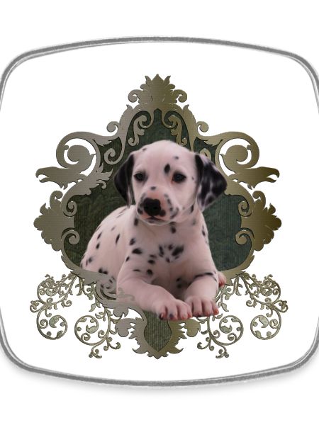 Dalmatien mignon