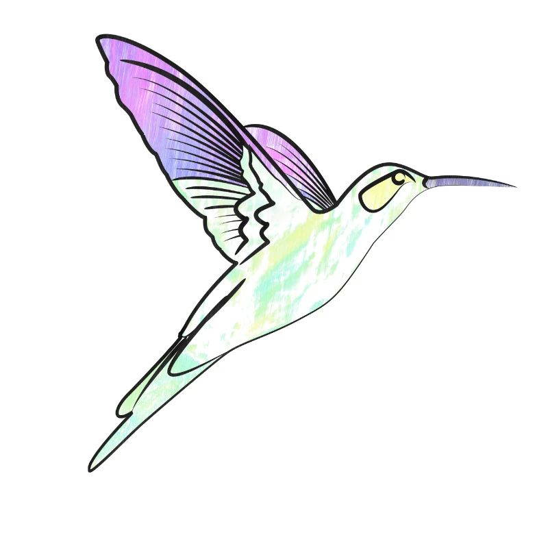 hummingbird effect