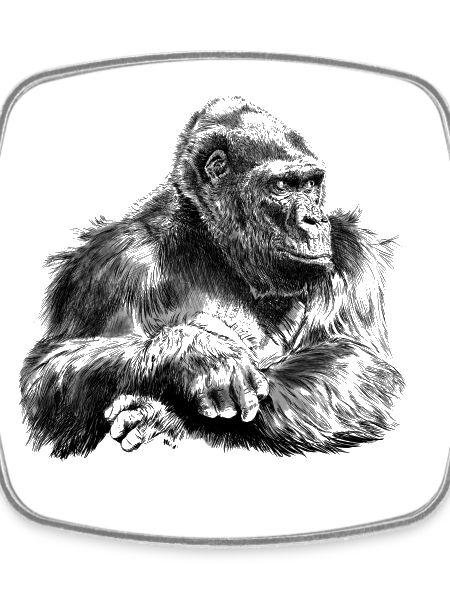 gorilla