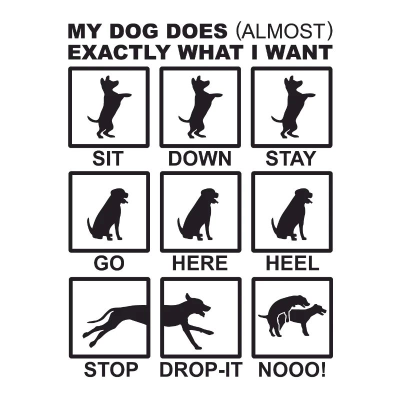 Dog Commands