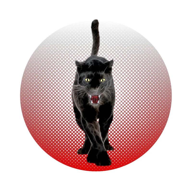Noir Cougar schwarzer Panther CB Chat Noir