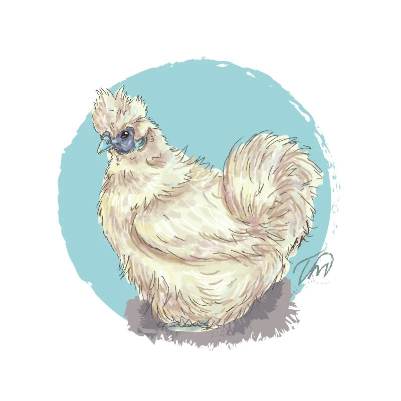 White silk hen