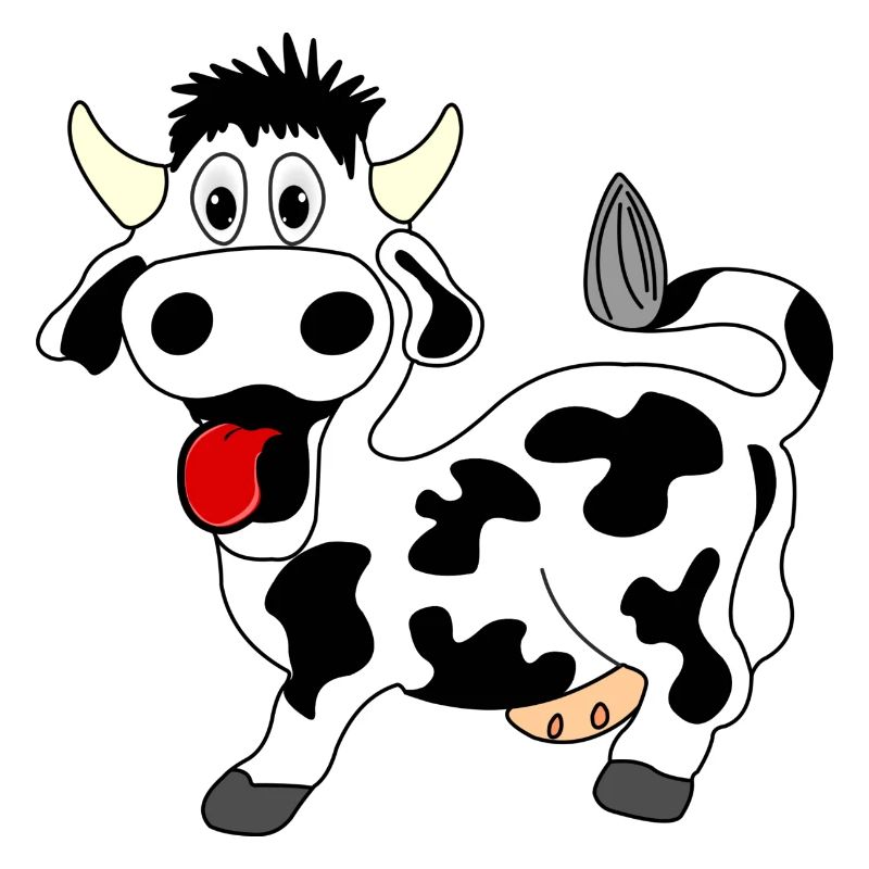 Vache noire et blanche joyeuse avec langue sortie de la bouche