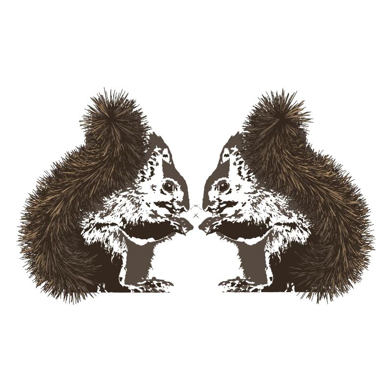 Squirrels, squirrels
