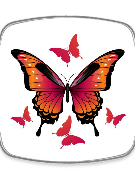 Butterflies - Butterfly