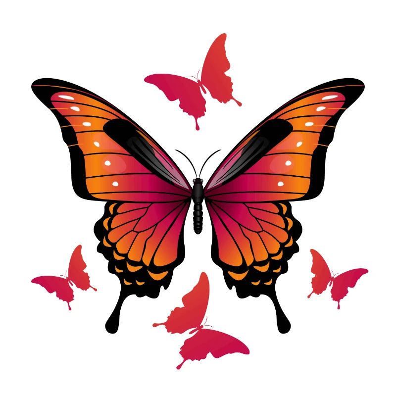 Schmetterlinge - Schmetterling