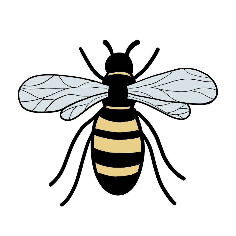 bee