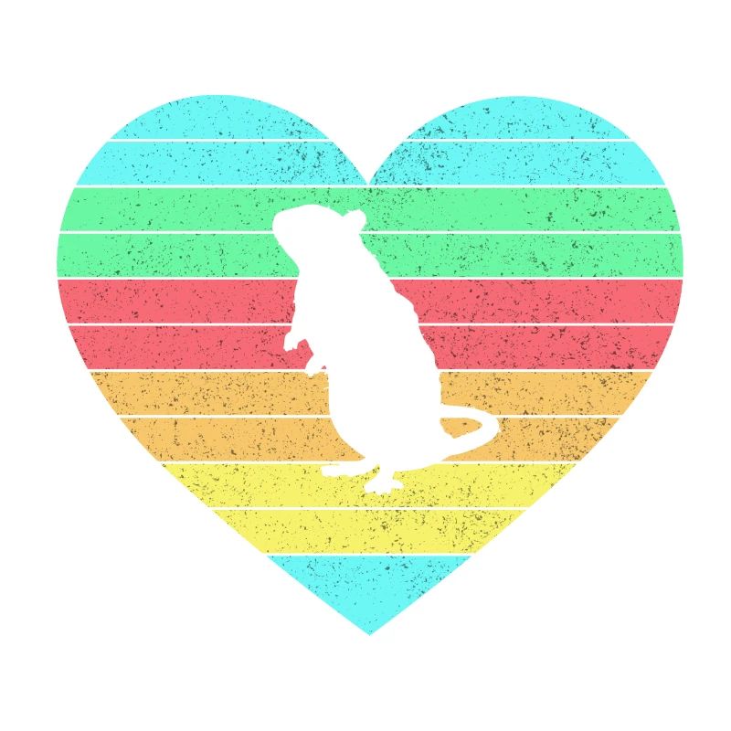 Mouse heart design with rainbow / gift