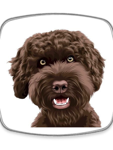 Doodle Dog Labradoodle