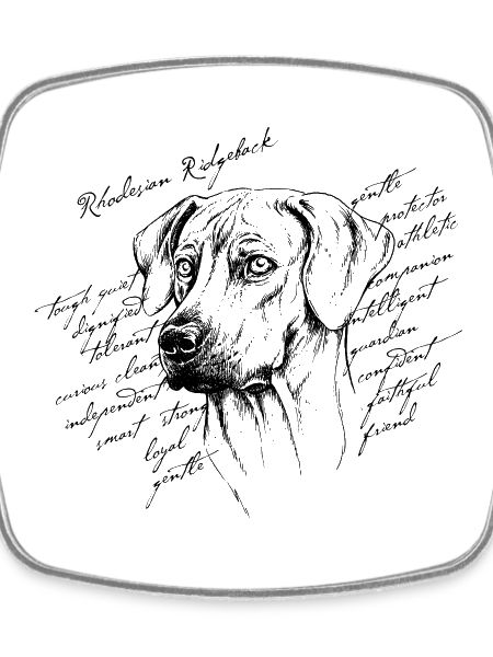 Rhodesian Ridgeback