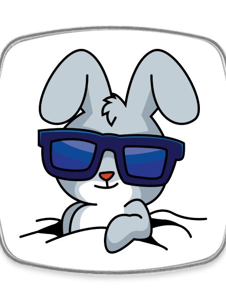 Cool Rabbit