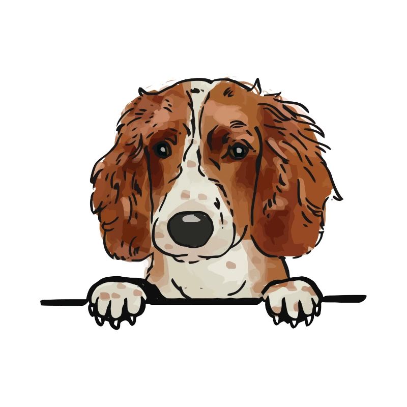 Welsh Springer Spaniel Dog for Peeking Dog Lovers