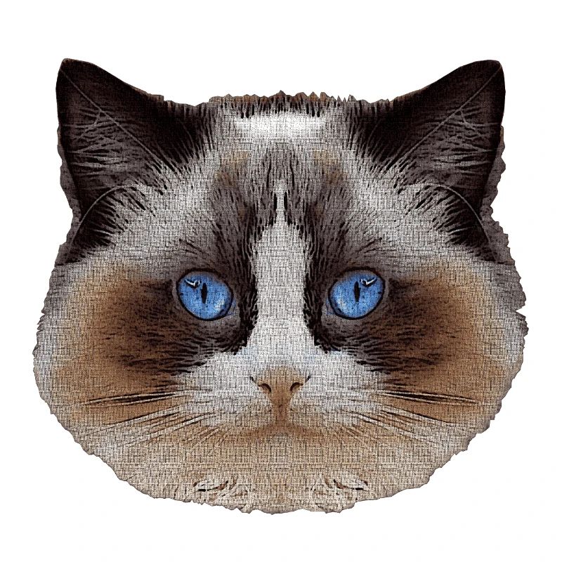 Ragdoll, samtpfote, Katzen design