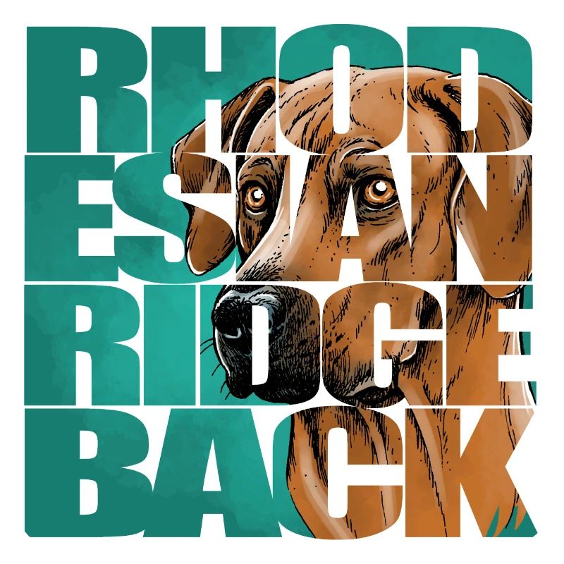 Rhodesian Ridgeback