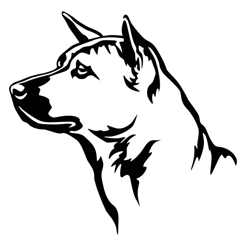 Thai Ridgeback Kopf