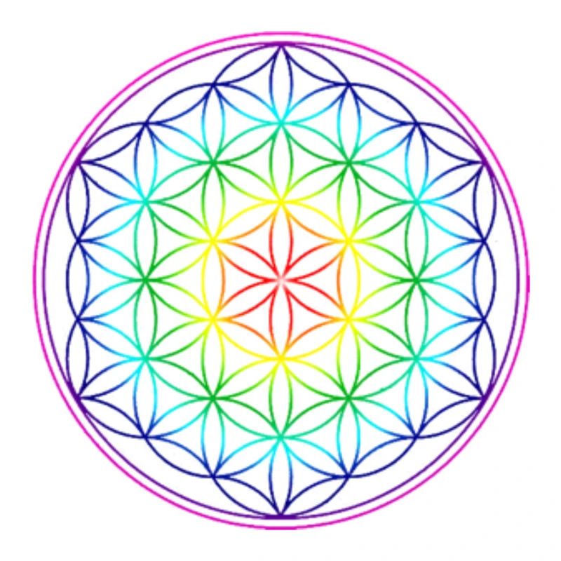 REGENBOGENBLUME DES LEBENS