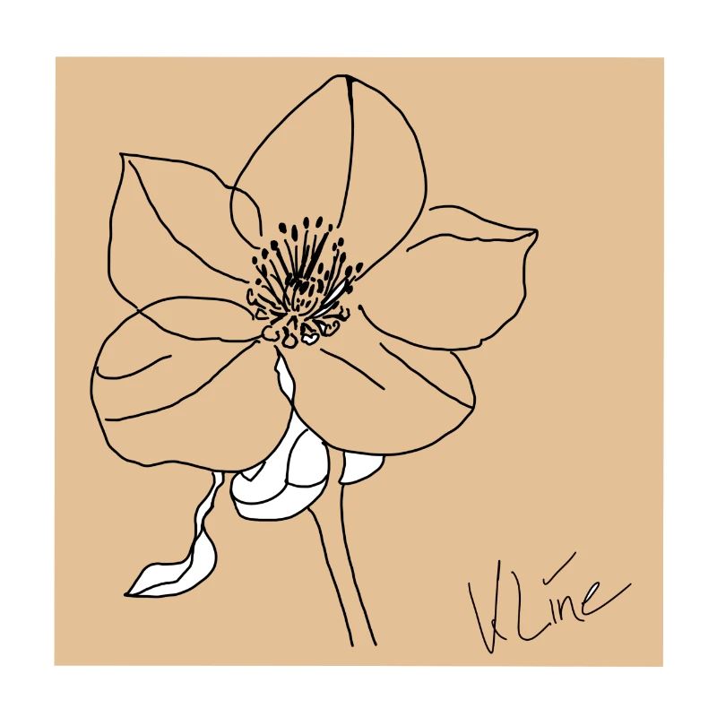 Affiche Rose de Noël