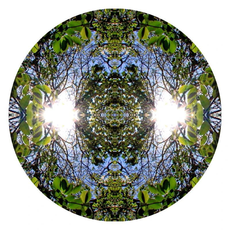 Nature Mandala Source à Nbg Erlenstegen