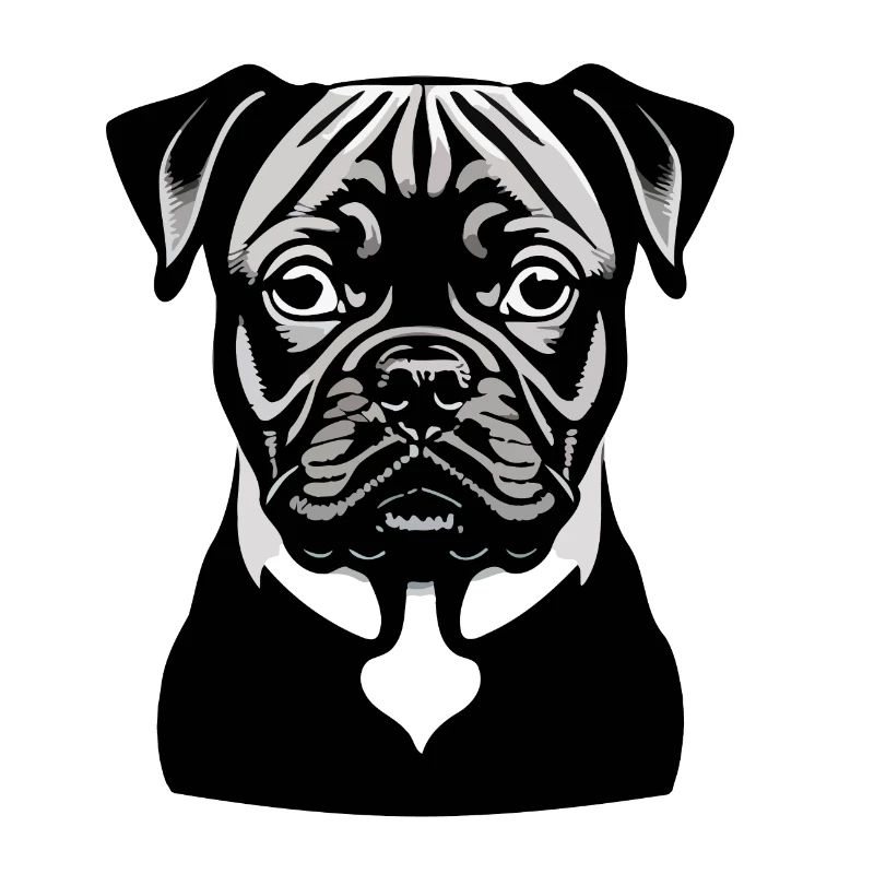 Chien, chiot, bouledogue