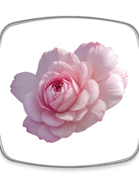 Rose Pink