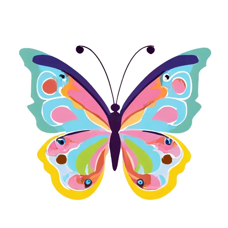 Papillon coloré