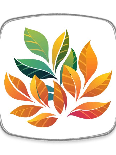 Plant Design