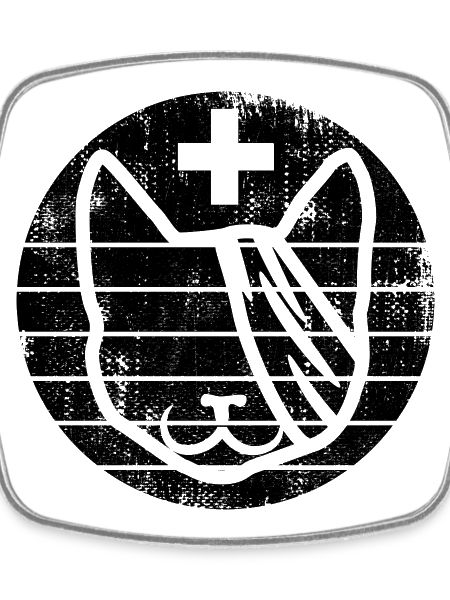 Veterinary Cat