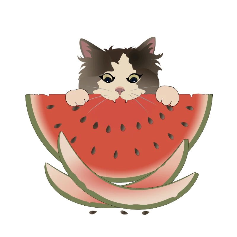 Watermelon Delight Cat