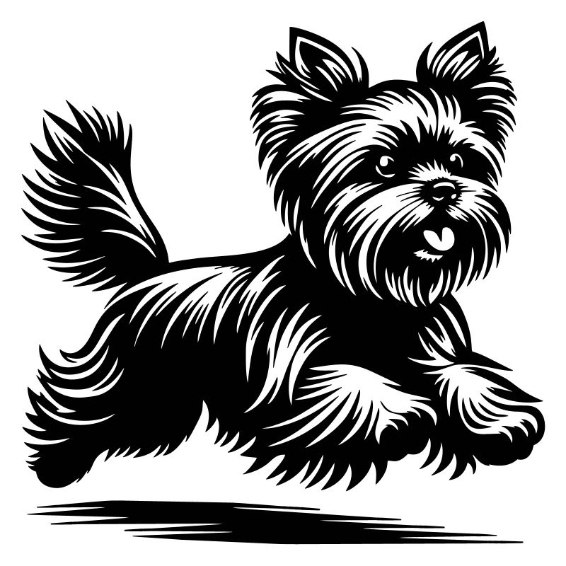Yorkshire Terrier