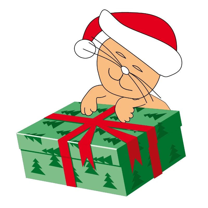 Chat heureux Katze avec un cadeau