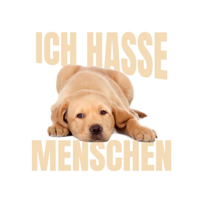 Mème du Labrador