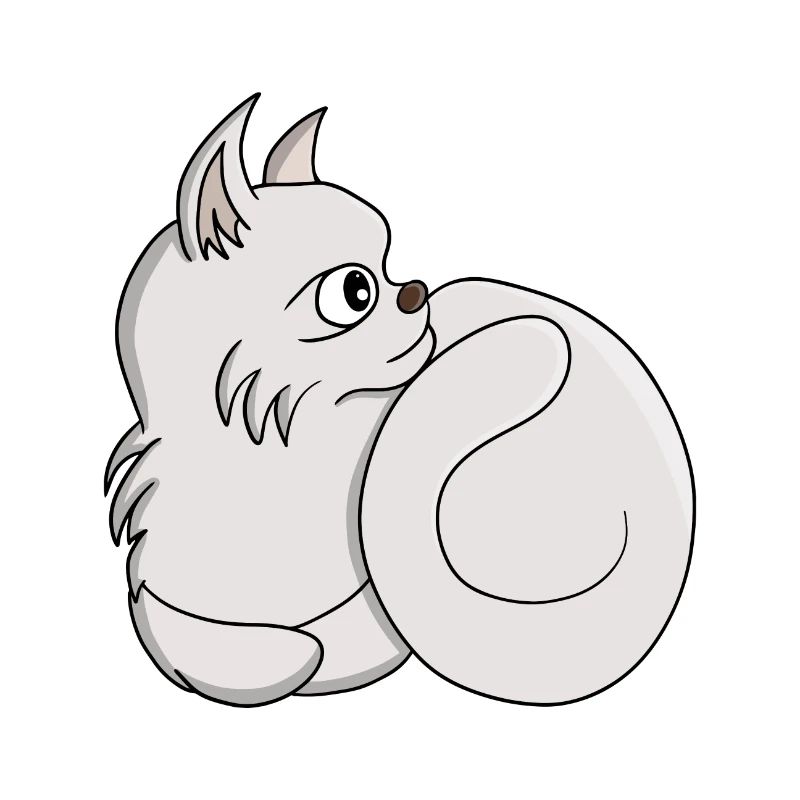 Curious Cat