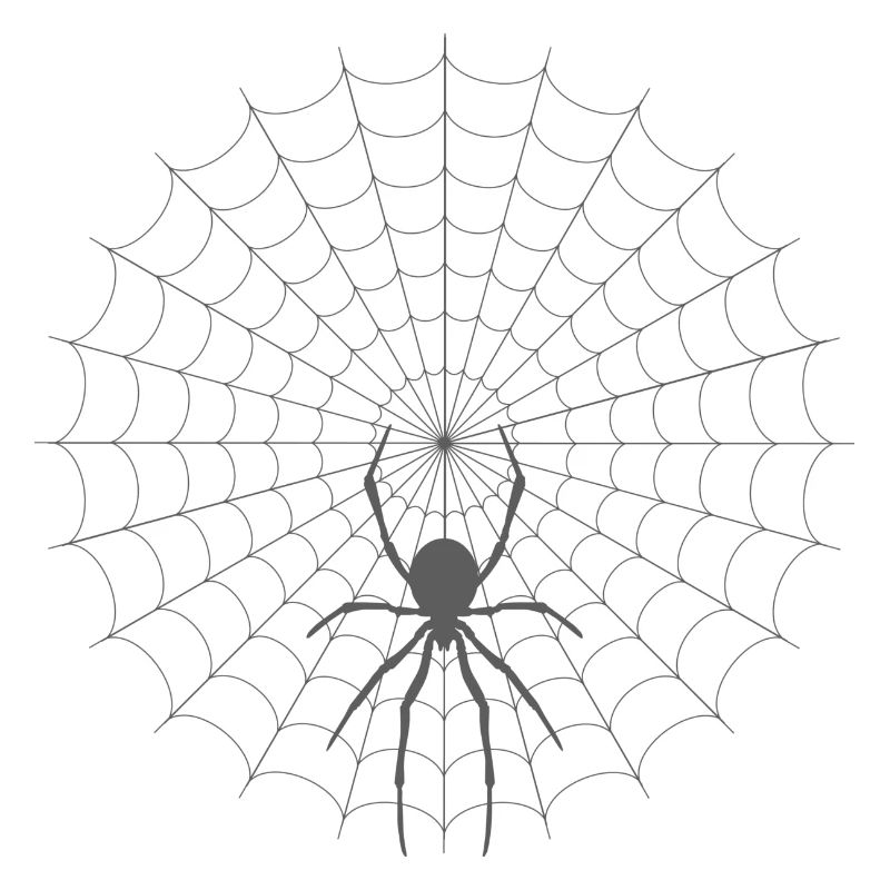 Spider Web Silhouette