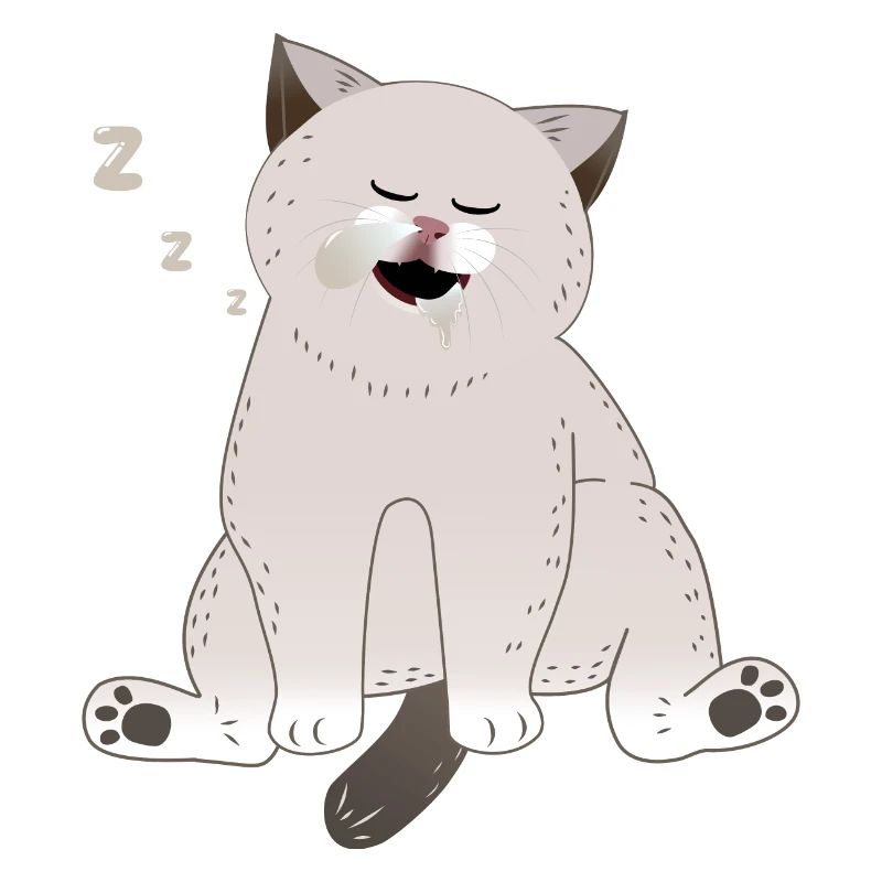 sleeping cat