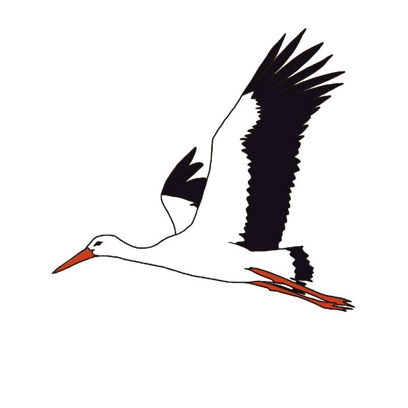 flying stork