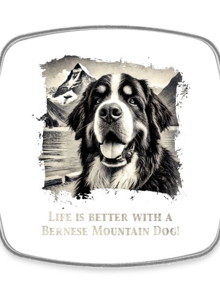 Bernese mountain dog