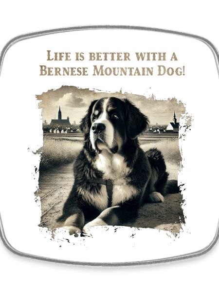 Bernese mountain dog