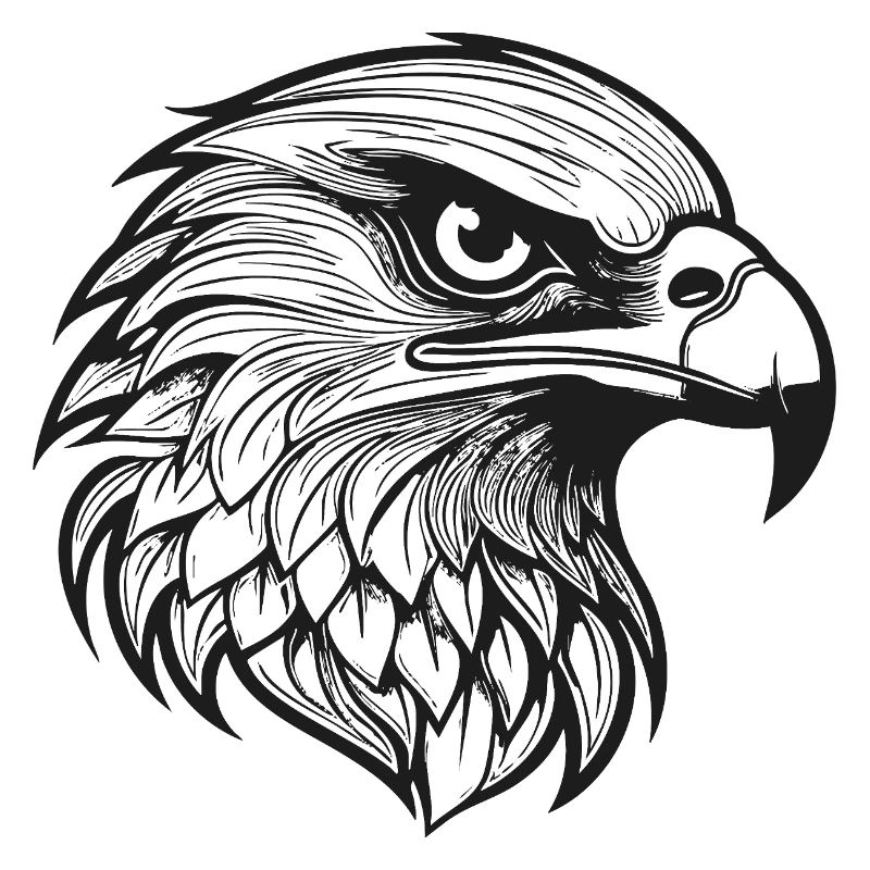 Detailed Eagle Head Illustration