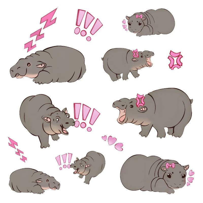 Mignon petit hippopotame nain / bébé hippopotame