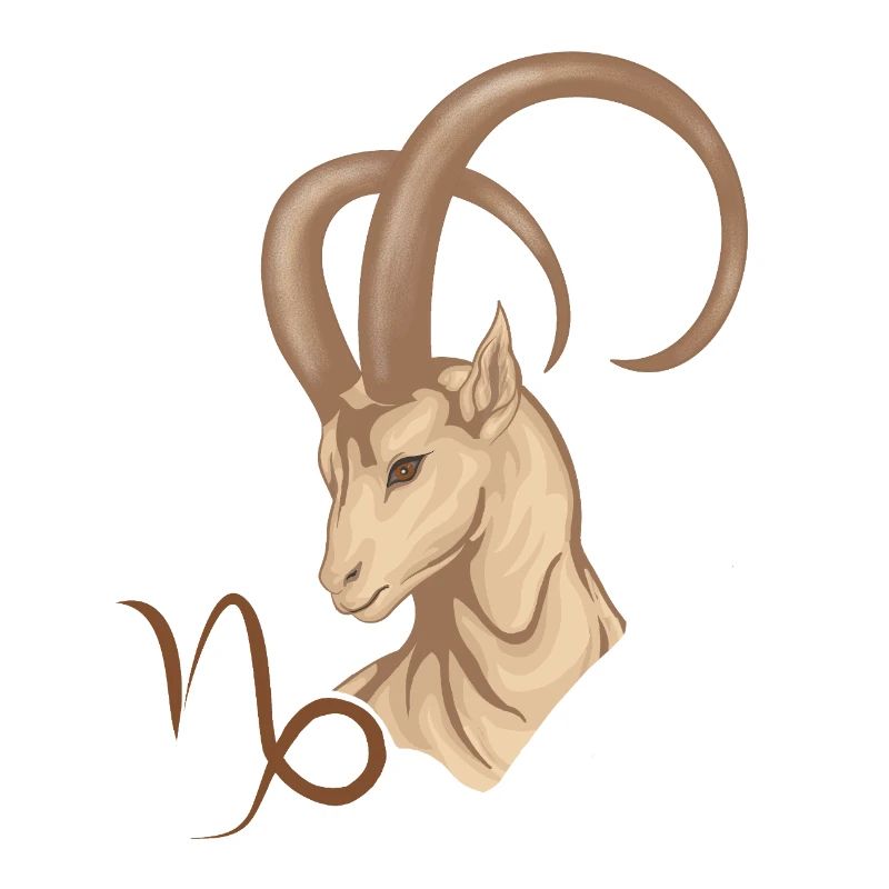 Sternzeichen Steinbock