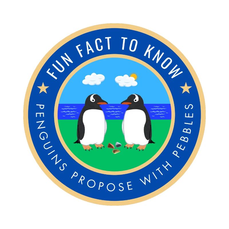 Penguins propose with pebbles