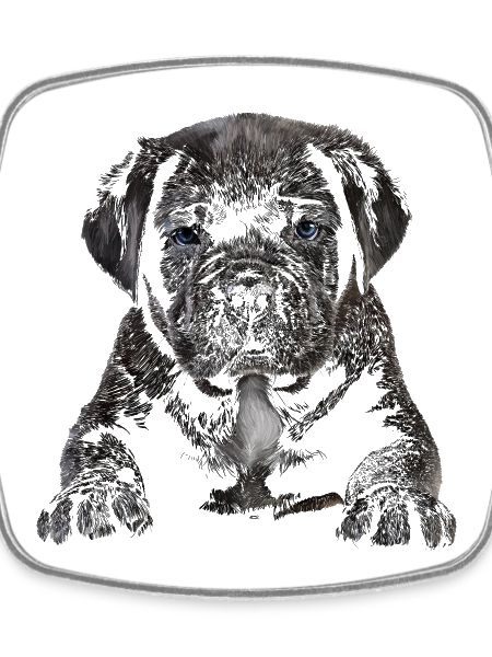 Chiot