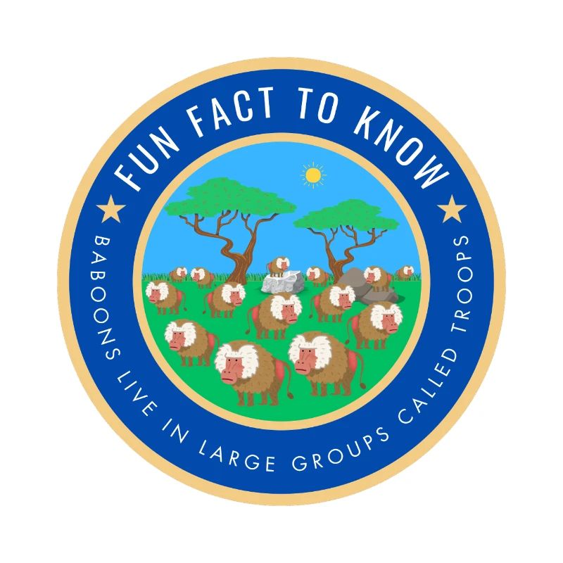 Baboons live in large groups called troops