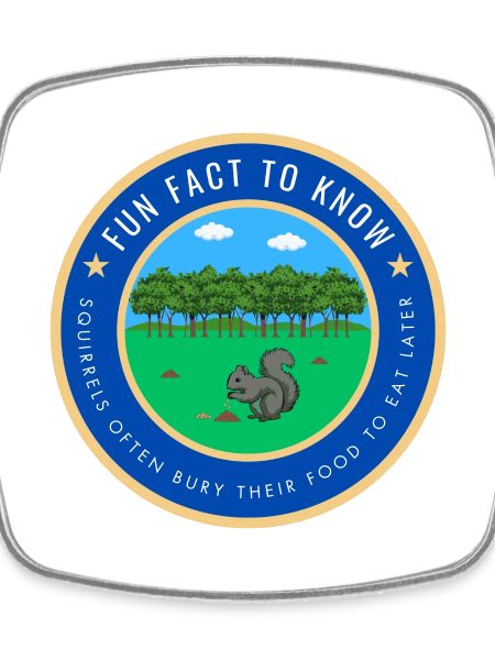 Fun Squirrel Fact