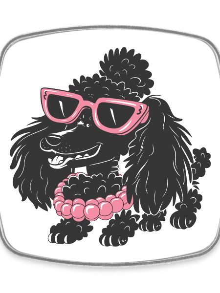Drôle de caniche