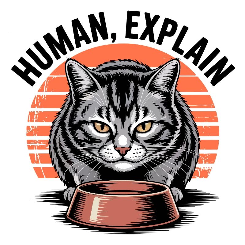 Human Explain Cat
