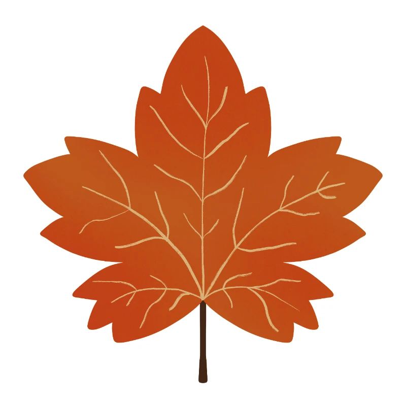 Autumn Maple Leaf Illustration