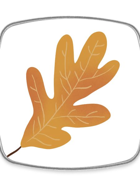 Autumn Oak Leaf Illustration
