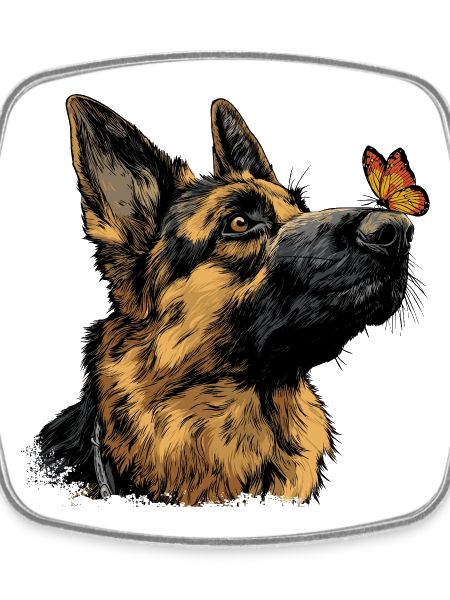 German Shepherd and butterfly